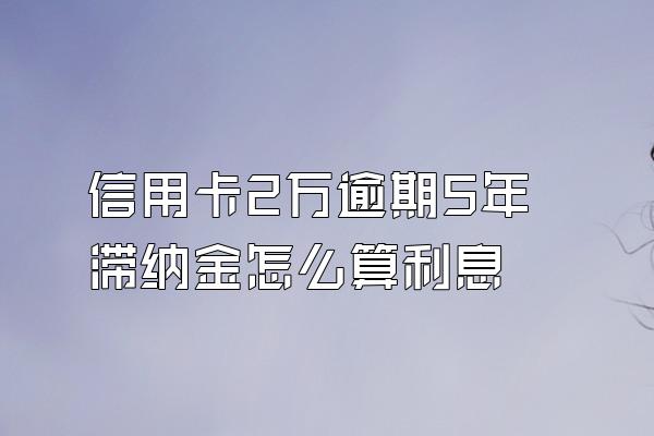 信用卡2万逾期5年滞纳金怎么算利息