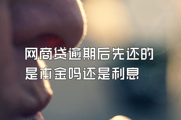 网商贷逾期后先还的是本金吗还是利息