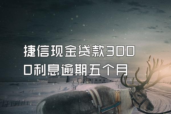 捷信现金贷款3000利息逾期五个月