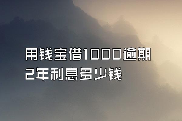 用钱宝借1000逾期2年利息多少钱