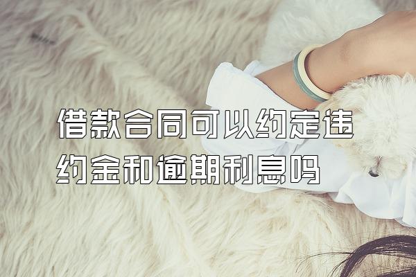 借款合同可以约定违约金和逾期利息吗