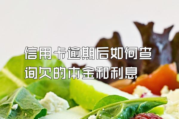 信用卡逾期后如何查询欠的本金和利息