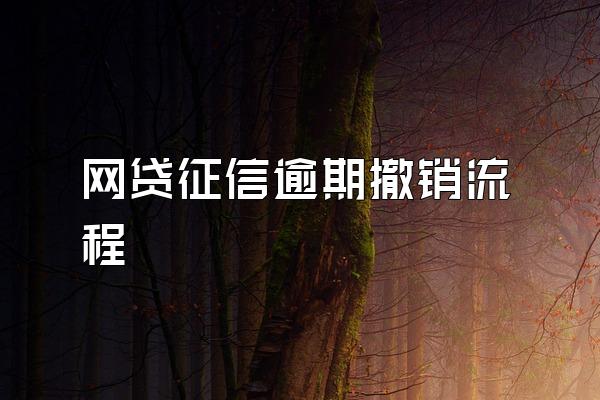 网贷征信逾期撤销流程