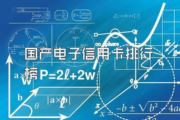 国产电子信用卡排行榜