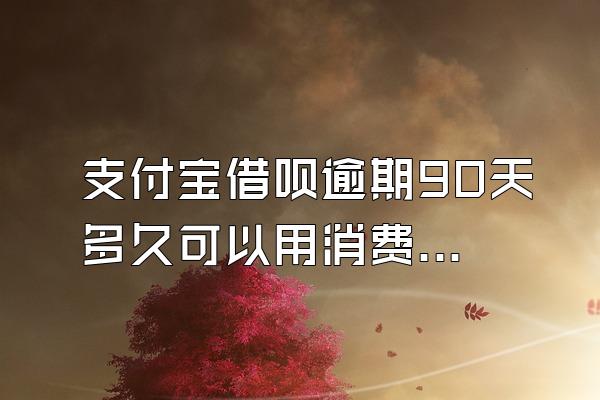 支付宝借呗逾期90天多久可以用消费金融