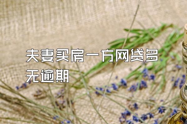 夫妻买房一方网贷多无逾期