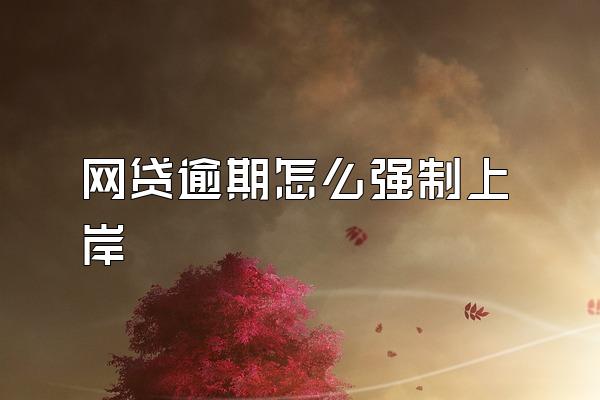 网贷逾期怎么强制上岸