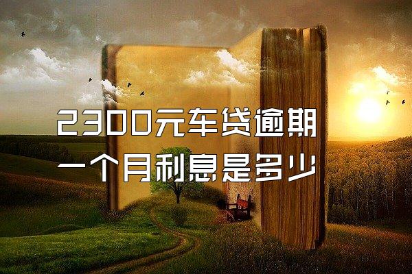 2300元车贷逾期一个月利息是多少