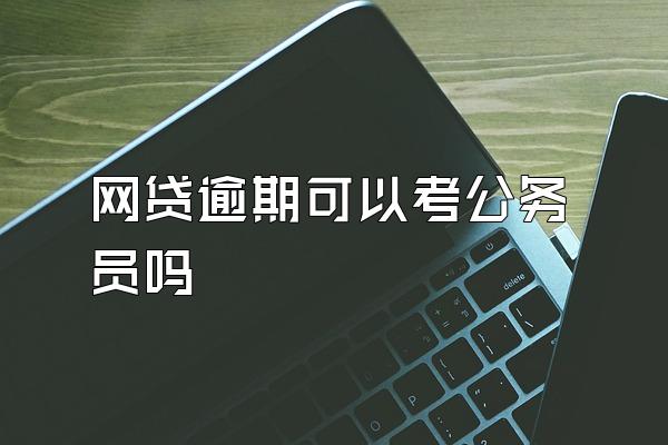 网贷逾期可以考公务员吗