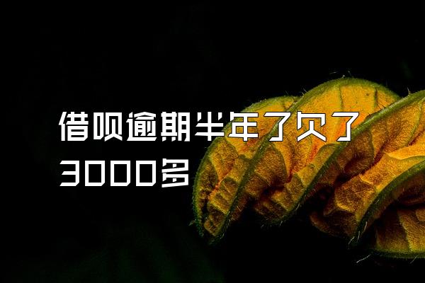 借呗逾期半年了欠了3000多