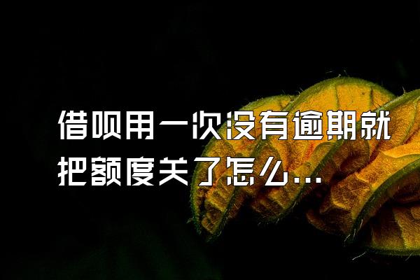 借呗用一次没有逾期就把额度关了怎么办