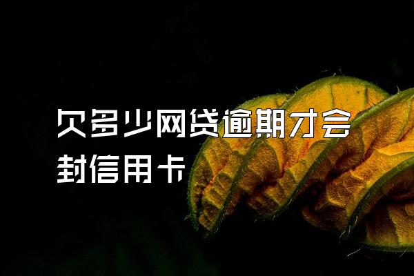 欠多少网贷逾期才会封信用卡