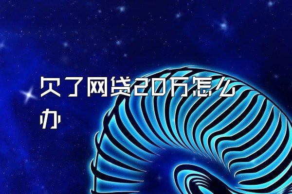 欠了网贷20万怎么办