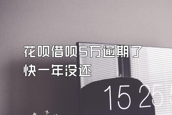 花呗借呗5万逾期了快一年没还