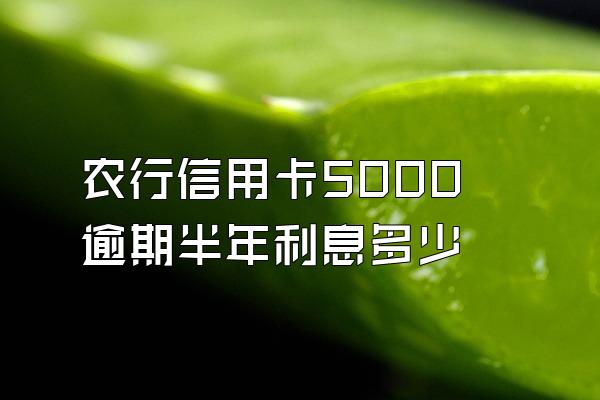 农行信用卡5000逾期半年利息多少