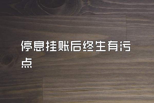 停息挂账后终生有污点