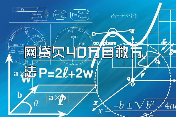 网贷欠40万自救方法