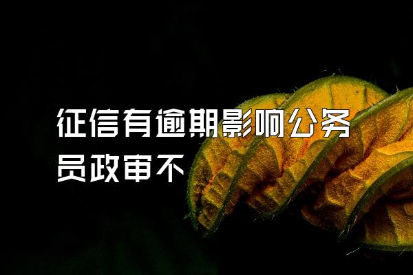 征信有逾期影响公务员政审不