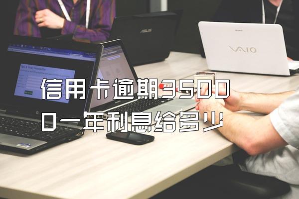 信用卡逾期35000一年利息给多少