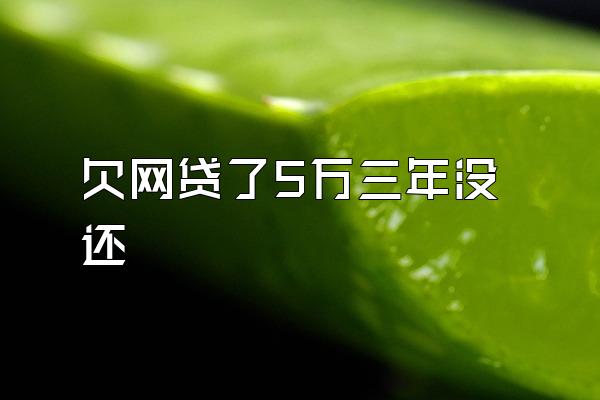 欠网贷了5万三年没还