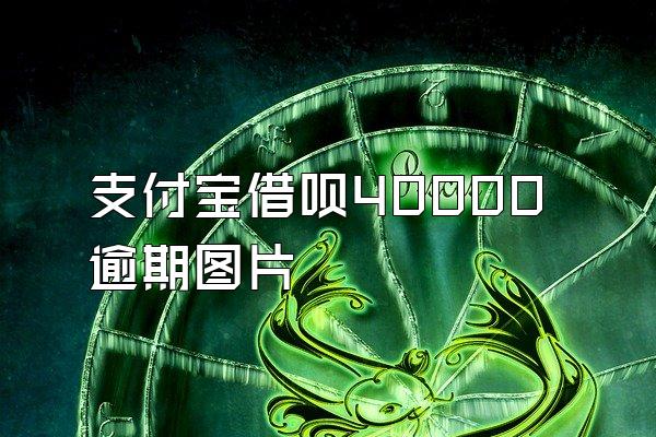 支付宝借呗40000逾期图片