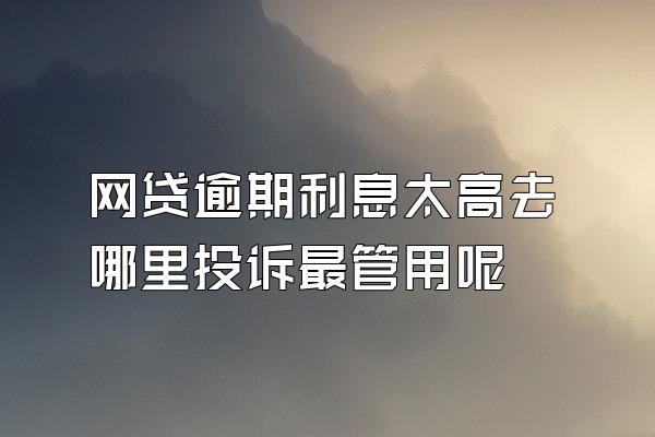 网贷逾期利息太高去哪里投诉最管用呢