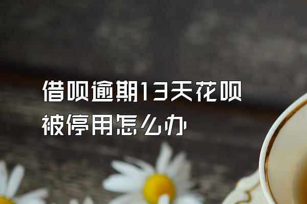 借呗逾期13天花呗被停用怎么办