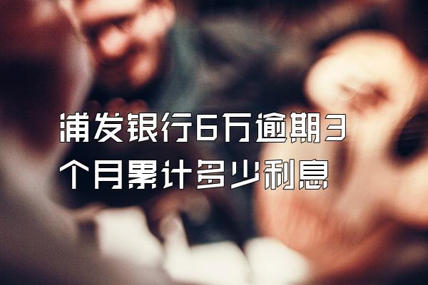 浦发银行6万逾期3个月累计多少利息