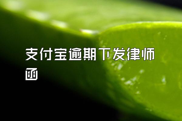 支付宝逾期下发律师函