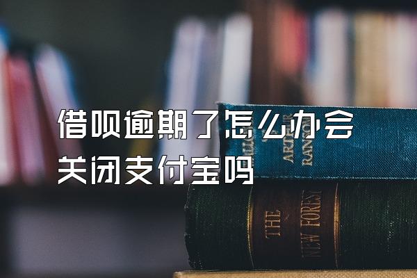 借呗逾期了怎么办会关闭支付宝吗