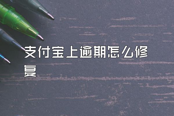 支付宝上逾期怎么修复