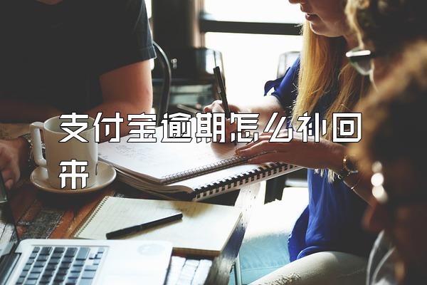 支付宝逾期怎么补回来