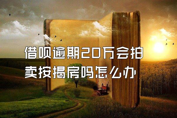 借呗逾期20万会拍卖按揭房吗怎么办