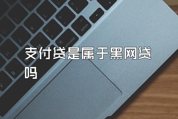 支付贷是属于黑网贷吗