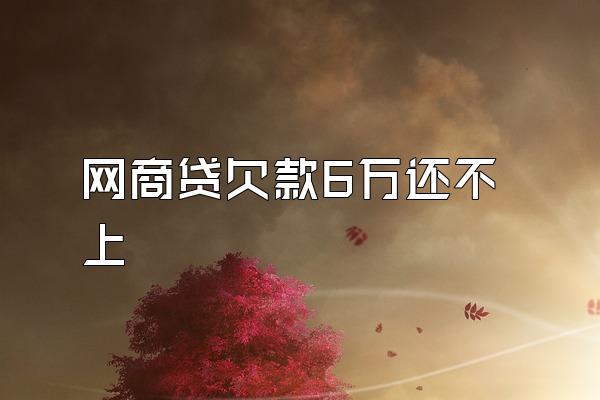 网商贷欠款6万还不上