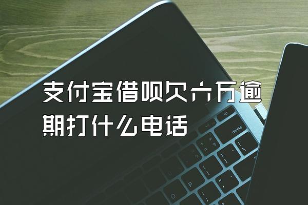 支付宝借呗欠六万逾期打什么电话