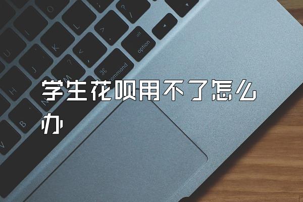 学生花呗用不了怎么办