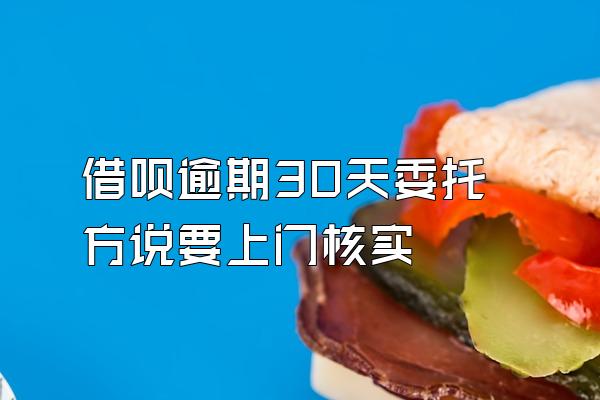 借呗逾期30天委托方说要上门核实