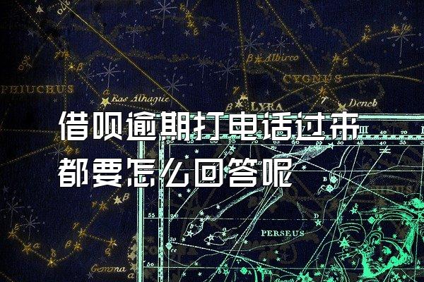 借呗逾期打电话过来都要怎么回答呢