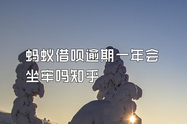 蚂蚁借呗逾期一年会坐牢吗知乎