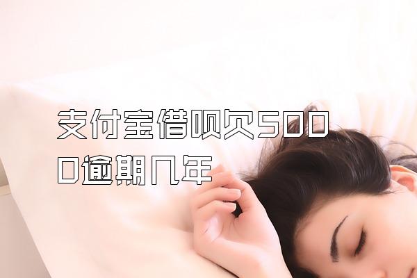 支付宝借呗欠5000逾期几年