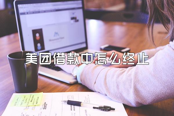 美团借款中怎么终止