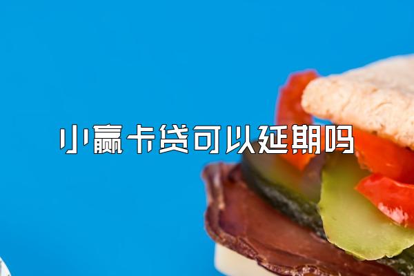 小赢卡贷可以延期吗