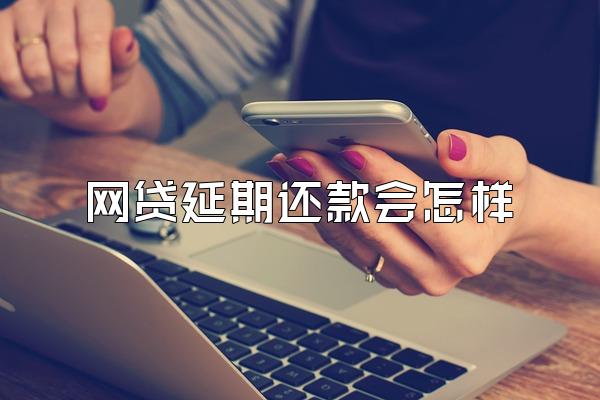 网贷延期还款会怎样