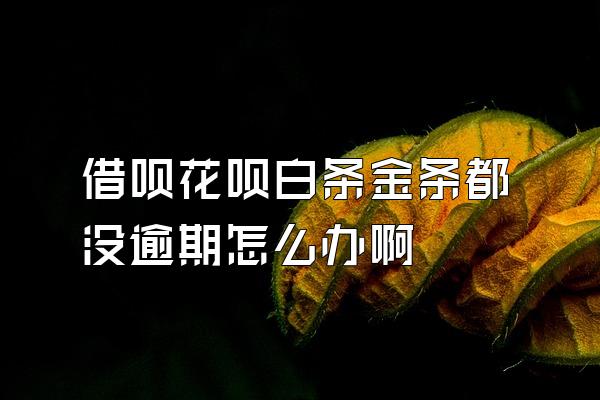 借呗花呗白条金条都没逾期怎么办啊