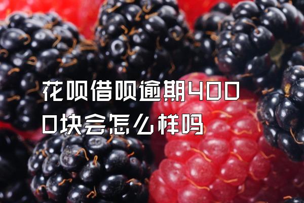 花呗借呗逾期4000块会怎么样吗