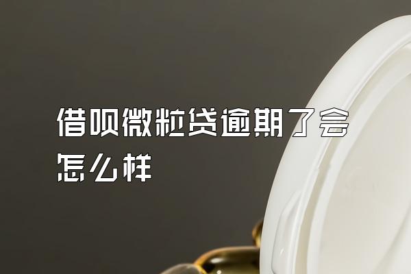 借呗微粒贷逾期了会怎么样