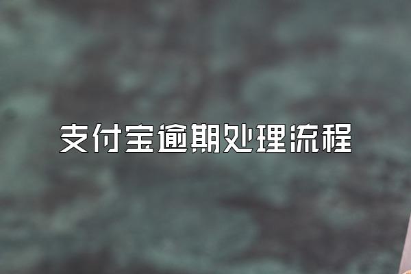 支付宝逾期处理流程