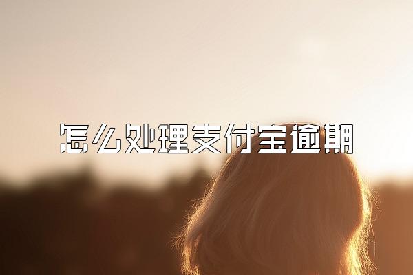 怎么处理支付宝逾期