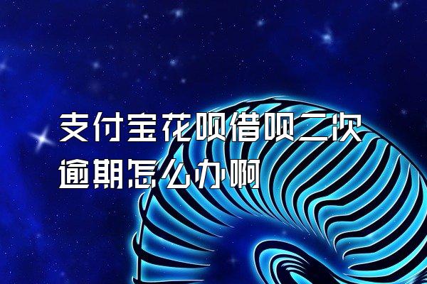 支付宝花呗借呗二次逾期怎么办啊